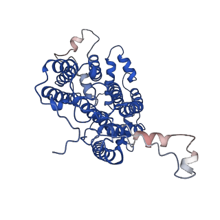 22226_6xkv_C_v1-1
R. capsulatus cyt bc1 with both FeS proteins in b position (CIII2 b-b)