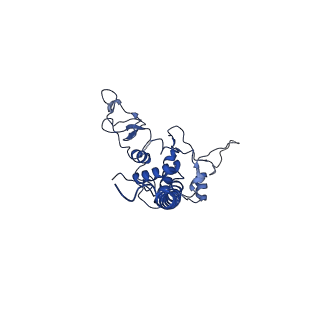 22226_6xkv_D_v1-1
R. capsulatus cyt bc1 with both FeS proteins in b position (CIII2 b-b)