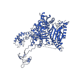 33239_7xk0_A_v1-1
Cryo-EM strucrture of Oryza sativa plastid glycyl-tRNA synthetase in complex with tRNA (tRNA locked state)