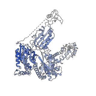 33240_7xk1_C_v1-1
Cryo-EM structure of Oryza sativa plastid glycyl-tRNA synthetase in complex with two tRNAs (both in tRNA binding states)