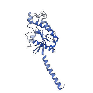 33241_7xk2_A_v1-2
Cryo-EM Structure of Human Niacin Receptor HCA2-Gi protein complex