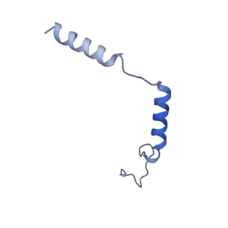 33241_7xk2_C_v1-2
Cryo-EM Structure of Human Niacin Receptor HCA2-Gi protein complex