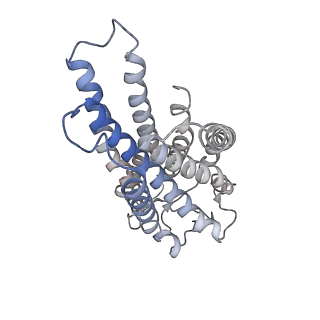 33241_7xk2_R_v1-2
Cryo-EM Structure of Human Niacin Receptor HCA2-Gi protein complex