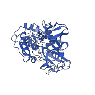 33242_7xk3_A_v1-1
Cryo-EM structure of Na+-pumping NADH-ubiquinone oxidoreductase from Vibrio cholerae, state 1