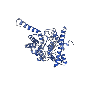 33242_7xk3_B_v1-1
Cryo-EM structure of Na+-pumping NADH-ubiquinone oxidoreductase from Vibrio cholerae, state 1