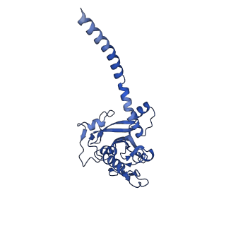 33242_7xk3_C_v1-1
Cryo-EM structure of Na+-pumping NADH-ubiquinone oxidoreductase from Vibrio cholerae, state 1