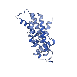 33242_7xk3_D_v1-1
Cryo-EM structure of Na+-pumping NADH-ubiquinone oxidoreductase from Vibrio cholerae, state 1