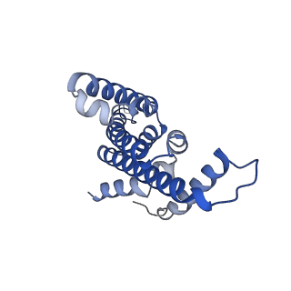 33242_7xk3_E_v1-1
Cryo-EM structure of Na+-pumping NADH-ubiquinone oxidoreductase from Vibrio cholerae, state 1