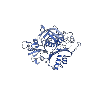 33242_7xk3_F_v1-1
Cryo-EM structure of Na+-pumping NADH-ubiquinone oxidoreductase from Vibrio cholerae, state 1