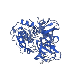33243_7xk4_A_v1-1
Cryo-EM structure of Na+-pumping NADH-ubiquinone oxidoreductase from Vibrio cholerae, state 2