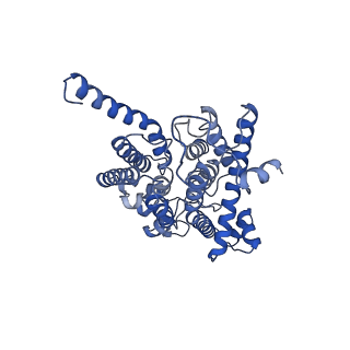 33243_7xk4_B_v1-1
Cryo-EM structure of Na+-pumping NADH-ubiquinone oxidoreductase from Vibrio cholerae, state 2