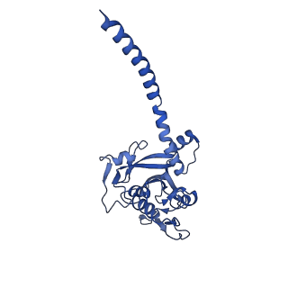 33243_7xk4_C_v1-1
Cryo-EM structure of Na+-pumping NADH-ubiquinone oxidoreductase from Vibrio cholerae, state 2