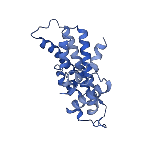 33243_7xk4_D_v1-1
Cryo-EM structure of Na+-pumping NADH-ubiquinone oxidoreductase from Vibrio cholerae, state 2