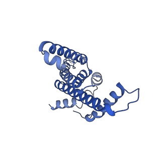 33243_7xk4_E_v1-1
Cryo-EM structure of Na+-pumping NADH-ubiquinone oxidoreductase from Vibrio cholerae, state 2