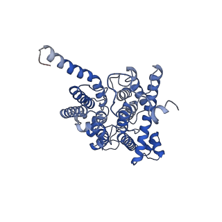 33244_7xk5_B_v1-1
Cryo-EM structure of Na+-pumping NADH-ubiquinone oxidoreductase from Vibrio cholerae, state 3