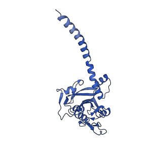 33244_7xk5_C_v1-1
Cryo-EM structure of Na+-pumping NADH-ubiquinone oxidoreductase from Vibrio cholerae, state 3