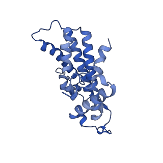 33244_7xk5_D_v1-1
Cryo-EM structure of Na+-pumping NADH-ubiquinone oxidoreductase from Vibrio cholerae, state 3