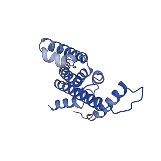 33244_7xk5_E_v1-1
Cryo-EM structure of Na+-pumping NADH-ubiquinone oxidoreductase from Vibrio cholerae, state 3