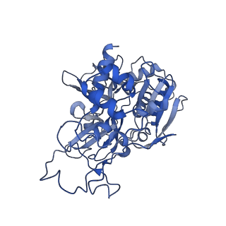 33245_7xk6_A_v1-1
Cryo-EM structure of Na+-pumping NADH-ubiquinone oxidoreductase from Vibrio cholerae, with aurachin D-42