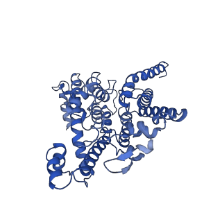33245_7xk6_B_v1-1
Cryo-EM structure of Na+-pumping NADH-ubiquinone oxidoreductase from Vibrio cholerae, with aurachin D-42