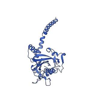 33245_7xk6_C_v1-1
Cryo-EM structure of Na+-pumping NADH-ubiquinone oxidoreductase from Vibrio cholerae, with aurachin D-42