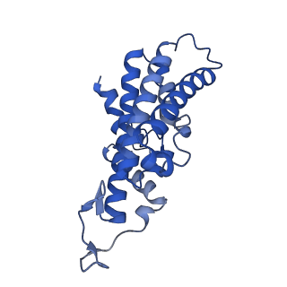 33245_7xk6_D_v1-1
Cryo-EM structure of Na+-pumping NADH-ubiquinone oxidoreductase from Vibrio cholerae, with aurachin D-42