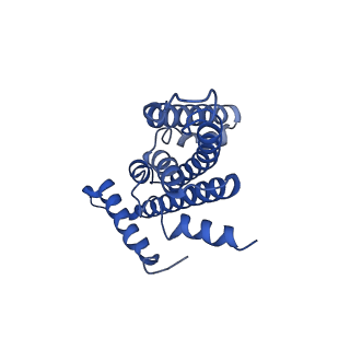 33245_7xk6_E_v1-1
Cryo-EM structure of Na+-pumping NADH-ubiquinone oxidoreductase from Vibrio cholerae, with aurachin D-42