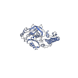 33245_7xk6_F_v1-1
Cryo-EM structure of Na+-pumping NADH-ubiquinone oxidoreductase from Vibrio cholerae, with aurachin D-42