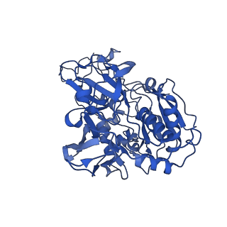 33246_7xk7_A_v1-1
Cryo-EM structure of Na+-pumping NADH-ubiquinone oxidoreductase from Vibrio cholerae, with korormicin