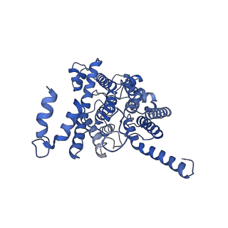 33246_7xk7_B_v1-1
Cryo-EM structure of Na+-pumping NADH-ubiquinone oxidoreductase from Vibrio cholerae, with korormicin