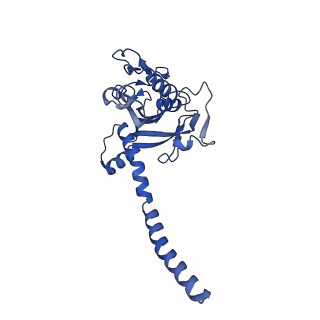 33246_7xk7_C_v1-1
Cryo-EM structure of Na+-pumping NADH-ubiquinone oxidoreductase from Vibrio cholerae, with korormicin