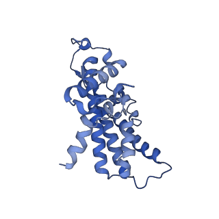33246_7xk7_D_v1-1
Cryo-EM structure of Na+-pumping NADH-ubiquinone oxidoreductase from Vibrio cholerae, with korormicin