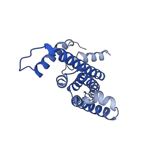 33246_7xk7_E_v1-1
Cryo-EM structure of Na+-pumping NADH-ubiquinone oxidoreductase from Vibrio cholerae, with korormicin