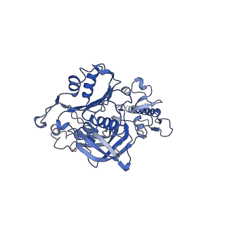 33246_7xk7_F_v1-1
Cryo-EM structure of Na+-pumping NADH-ubiquinone oxidoreductase from Vibrio cholerae, with korormicin