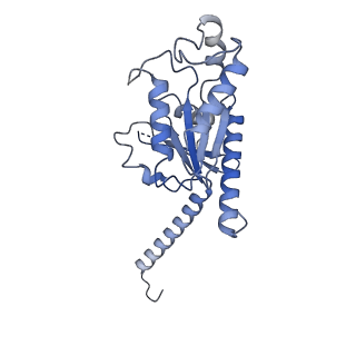 33247_7xk8_A_v1-0
Cryo-EM structure of the Neuromedin U receptor 2 (NMUR2) in complex with G Protein and its endogeneous Peptide-Agonist NMU25