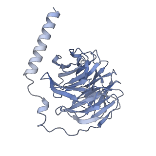 33247_7xk8_B_v1-0
Cryo-EM structure of the Neuromedin U receptor 2 (NMUR2) in complex with G Protein and its endogeneous Peptide-Agonist NMU25