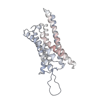 33247_7xk8_R_v1-0
Cryo-EM structure of the Neuromedin U receptor 2 (NMUR2) in complex with G Protein and its endogeneous Peptide-Agonist NMU25