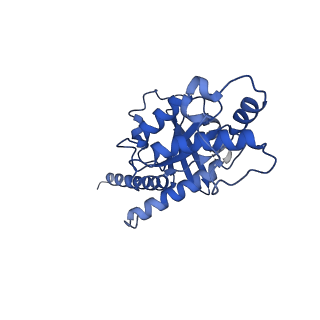 33249_7xke_A_v1-1
Cryo-EM structure of DHEA-ADGRG2-FL-Gs complex
