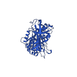 33251_7xkh_A_v1-1
Nucleotide-depleted F1 domain of FoF1-ATPase from Bacillus PS3, state1