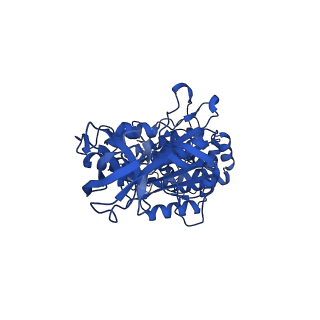 33251_7xkh_B_v1-1
Nucleotide-depleted F1 domain of FoF1-ATPase from Bacillus PS3, state1