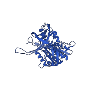 33251_7xkh_E_v1-1
Nucleotide-depleted F1 domain of FoF1-ATPase from Bacillus PS3, state1