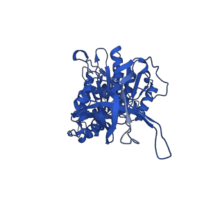 33251_7xkh_F_v1-1
Nucleotide-depleted F1 domain of FoF1-ATPase from Bacillus PS3, state1