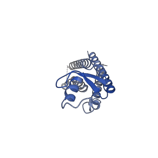 33254_7xki_A_v1-0
Human Cx36/GJD2 (N-terminal deletion BRIL-fused mutant) gap junction channel in soybean lipids (D6 symmetry)