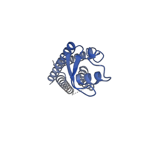 33254_7xki_C_v1-0
Human Cx36/GJD2 (N-terminal deletion BRIL-fused mutant) gap junction channel in soybean lipids (D6 symmetry)