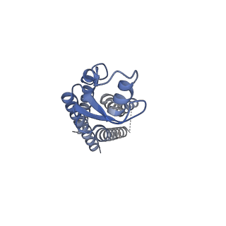33254_7xki_D_v1-0
Human Cx36/GJD2 (N-terminal deletion BRIL-fused mutant) gap junction channel in soybean lipids (D6 symmetry)