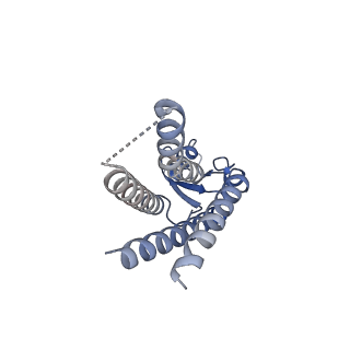 33254_7xki_H_v1-0
Human Cx36/GJD2 (N-terminal deletion BRIL-fused mutant) gap junction channel in soybean lipids (D6 symmetry)