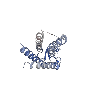 33254_7xki_I_v1-0
Human Cx36/GJD2 (N-terminal deletion BRIL-fused mutant) gap junction channel in soybean lipids (D6 symmetry)
