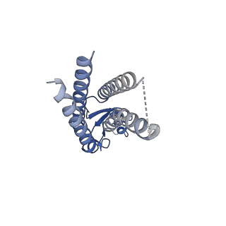 33254_7xki_J_v1-0
Human Cx36/GJD2 (N-terminal deletion BRIL-fused mutant) gap junction channel in soybean lipids (D6 symmetry)