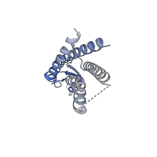 33254_7xki_K_v1-0
Human Cx36/GJD2 (N-terminal deletion BRIL-fused mutant) gap junction channel in soybean lipids (D6 symmetry)