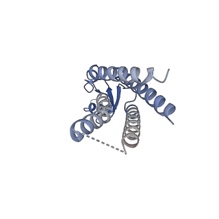 33254_7xki_L_v1-0
Human Cx36/GJD2 (N-terminal deletion BRIL-fused mutant) gap junction channel in soybean lipids (D6 symmetry)